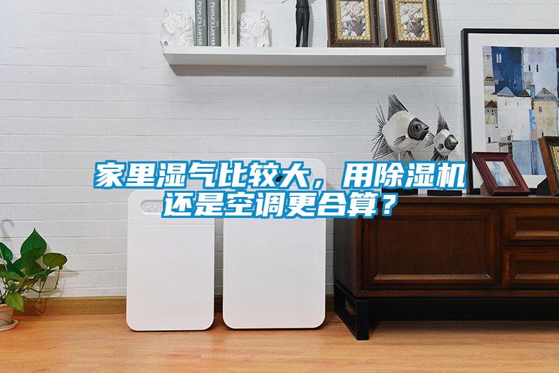 家里濕氣比較大,用除濕機還是空調更合算?