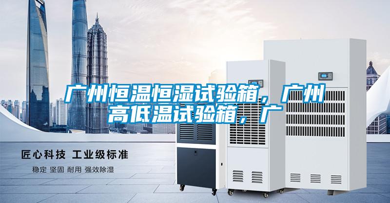 廣州恒溫恒濕試驗(yàn)箱,廣州高低溫試驗(yàn)箱,廣