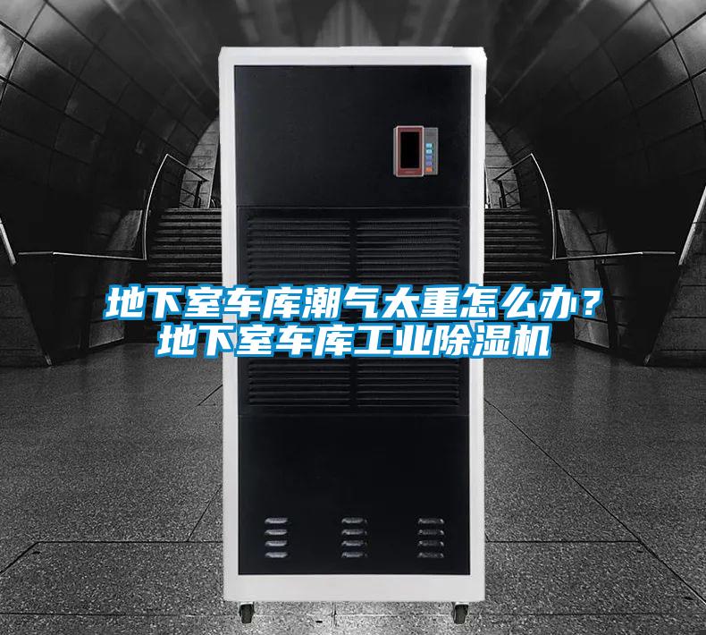 地下室車庫潮氣太重怎么辦?地下室車庫工業(yè)除濕機(jī)