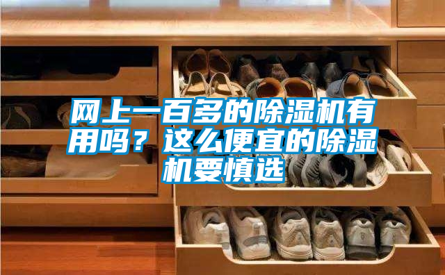 網上一百多的除濕機有用嗎?這么便宜的除濕機要慎選