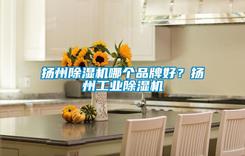 揚州除濕機哪個品牌好?揚州工業除濕機