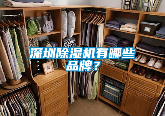深圳除濕機有哪些品牌?
