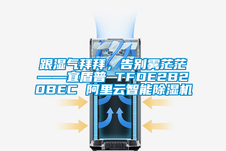 跟濕氣拜拜，告別霧茫茫——宜盾普 TFDE2B20BEC 阿里云智能除濕機