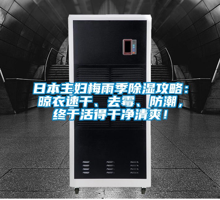 日本主婦梅雨季除濕攻略：晾衣速干、去霉、防潮，終于活得干凈清爽！