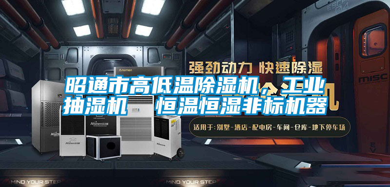 昭通市高低溫除濕機，工業抽濕機  恒溫恒濕非標機器