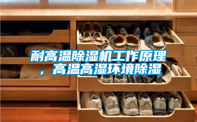 耐高溫除濕機(jī)工作原理,高溫高濕環(huán)境除濕