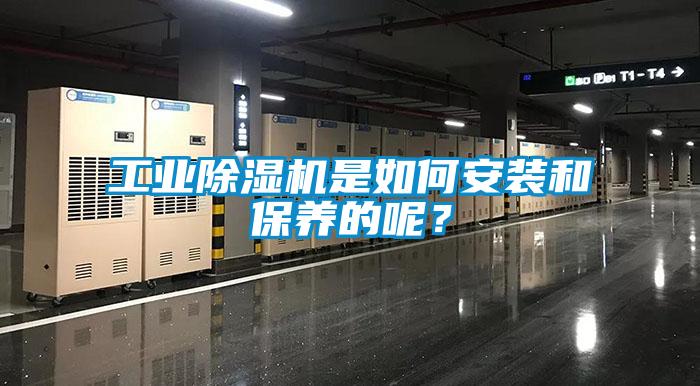 工業除濕機是如何安裝和保養的呢?