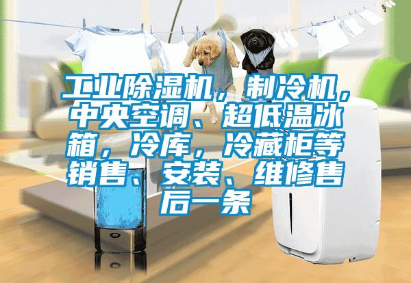 工業除濕機，制冷機，中央空調、超低溫冰箱，冷庫，冷藏柜等銷售、安裝、維修售后一條