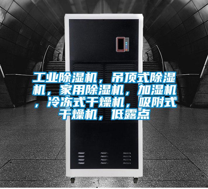 工業除濕機，吊頂式除濕機，家用除濕機，加濕機，冷凍式干燥機，吸附式干燥機，低露點