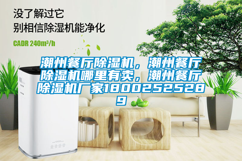 潮州餐廳除濕機(jī)，潮州餐廳除濕機(jī)哪里有賣，潮州餐廳除濕機(jī)廠家18002525289