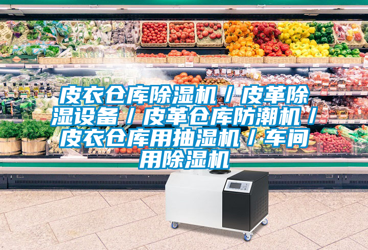 皮衣倉庫除濕機(jī)/皮革除濕設(shè)備/皮革倉庫防潮機(jī)/皮衣倉庫用抽濕機(jī)/車間用除濕機(jī)