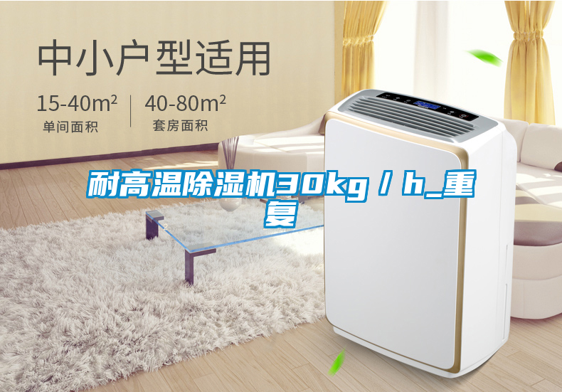 耐高溫除濕機(jī)30kg／h_重復(fù)