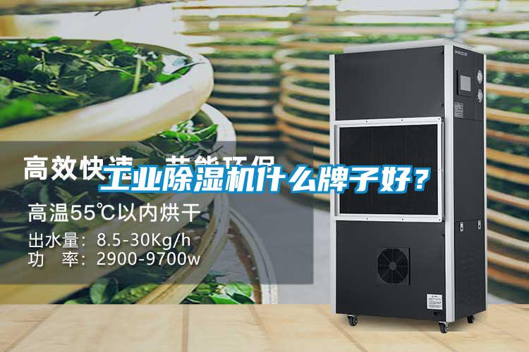 工業除濕機什么牌子好?