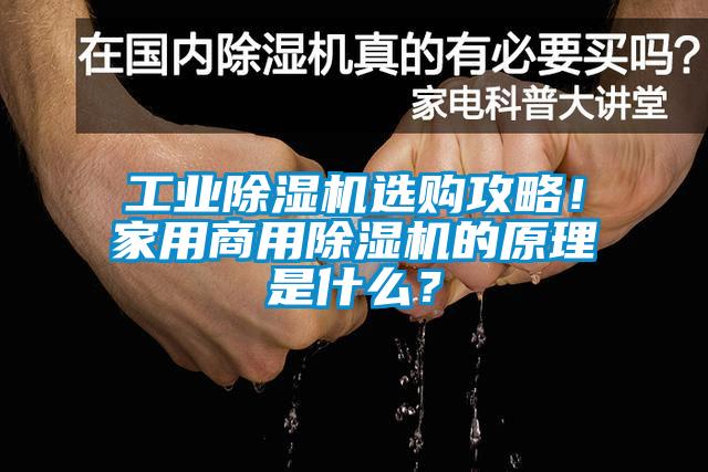 工業除濕機選購攻略！家用商用除濕機的原理是什么？