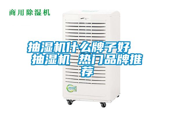抽濕機(jī)什么牌子好 抽濕機(jī) 熱門品牌推薦