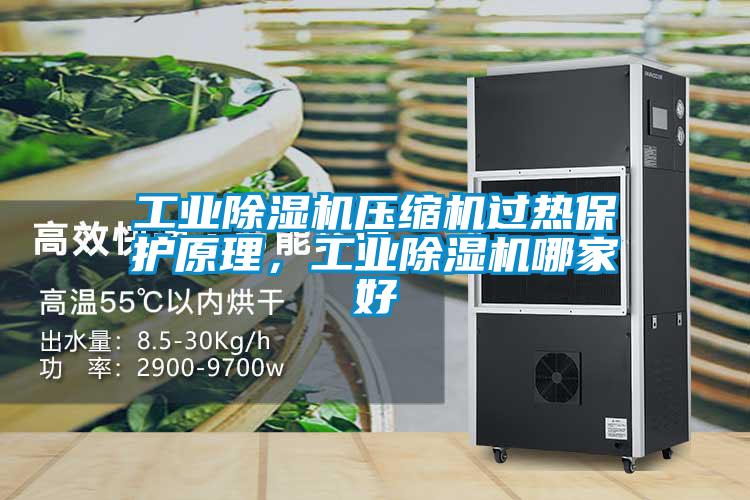 工業除濕機壓縮機過熱保護原理,工業除濕機哪家好