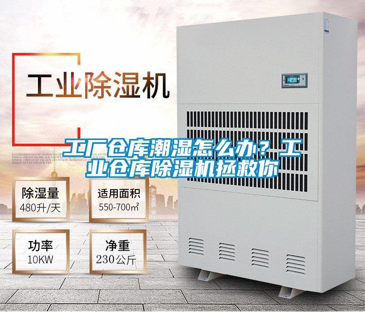 工廠倉(cāng)庫(kù)潮濕怎么辦?工業(yè)倉(cāng)庫(kù)除濕機(jī)拯救你
