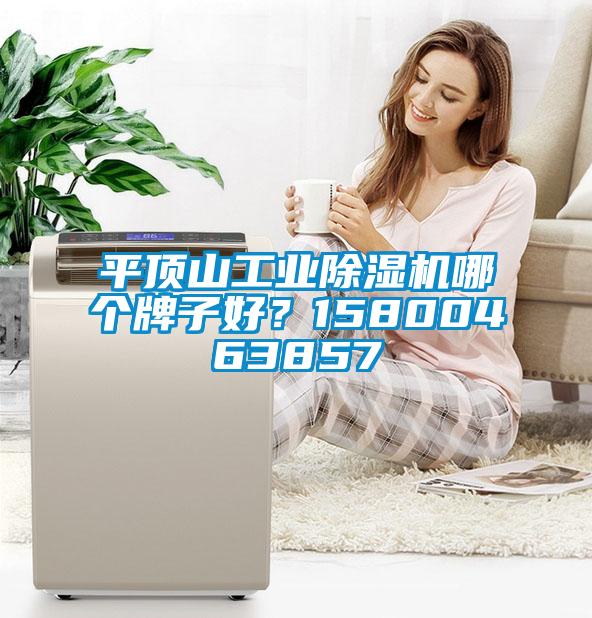 平頂山工業除濕機哪個牌子好?15800463857