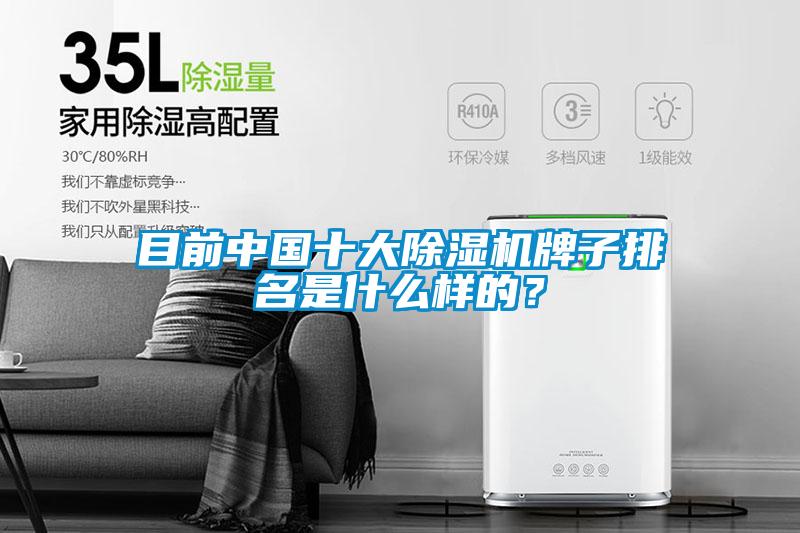 目前中國十大除濕機牌子排名是什么樣的?