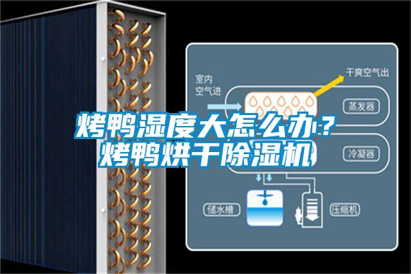 烤鴨濕度大怎么辦？烤鴨烘干除濕機