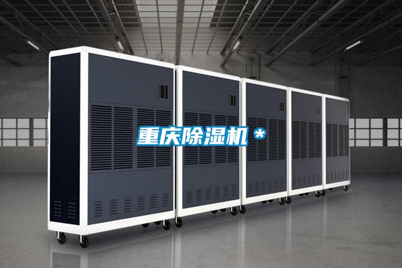 重慶除濕機(jī)*