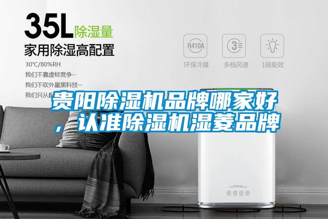 貴陽(yáng)除濕機(jī)品牌哪家好,認(rèn)準(zhǔn)除濕機(jī)濕菱品牌
