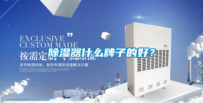 除濕器什么牌子的好？