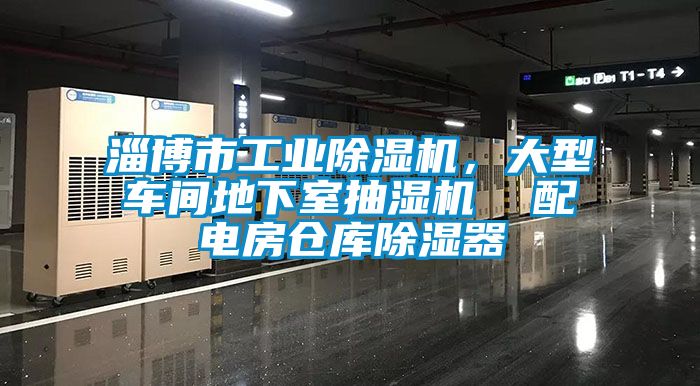 淄博市工業(yè)除濕機,大型車間地下室抽濕機 配電房倉庫除濕器