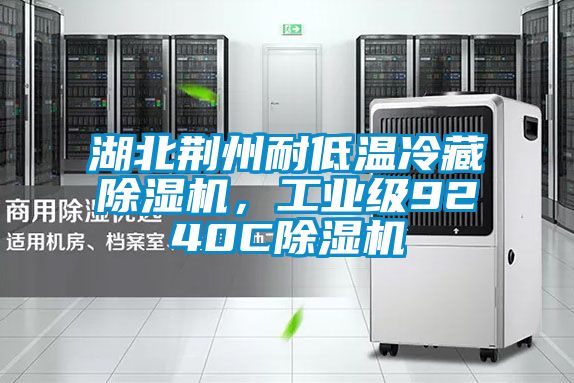 湖北荊州耐低溫冷藏除濕機(jī)，工業(yè)級(jí)9240C除濕機(jī)