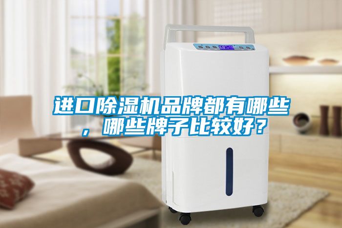 進(jìn)口除濕機(jī)品牌都有哪些,哪些牌子比較好?