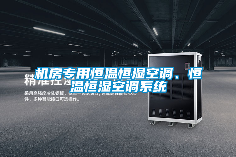 機(jī)房專用恒溫恒濕空調(diào)、恒溫恒濕空調(diào)系統(tǒng)