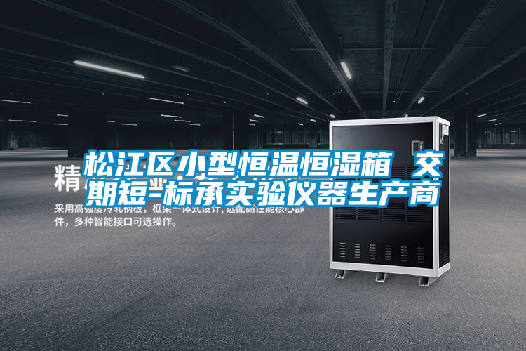 松江區(qū)小型恒溫恒濕箱 交期短-標(biāo)承實驗儀器生產(chǎn)商