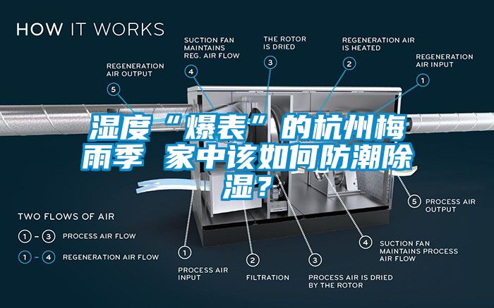 濕度“爆表”的杭州梅雨季 家中該如何防潮除濕？