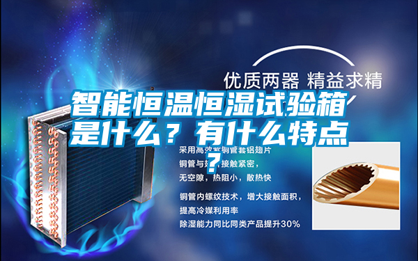 智能恒溫恒濕試驗箱是什么?有什么特點?