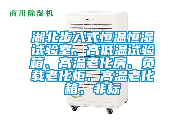 湖北步入式恒溫恒濕試驗室、高低溫試驗箱、高溫老化房、負(fù)載老化柜、高溫老化箱、非標(biāo)