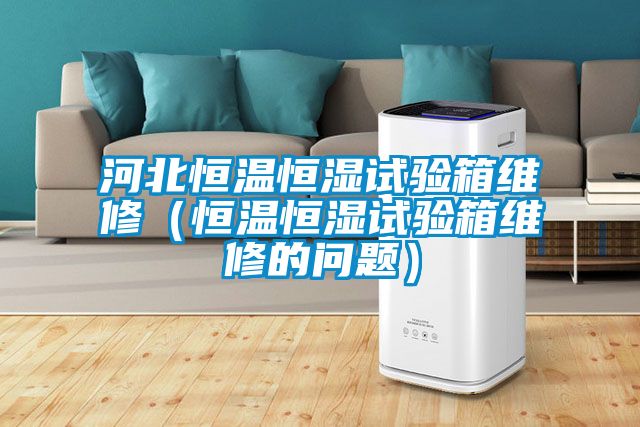 河北恒溫恒濕試驗箱維修(恒溫恒濕試驗箱維修的問題)