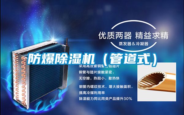 防爆除濕機(jī)（管道式）