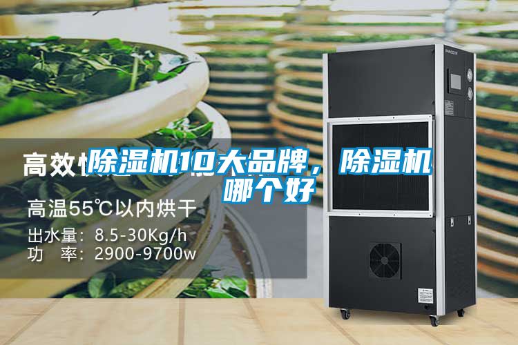 除濕機10大品牌，除濕機 哪個好