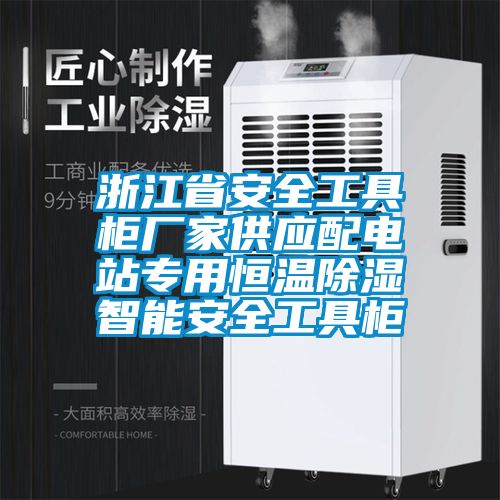 浙江省安全工具柜廠家供應(yīng)配電站專(zhuān)用恒溫除濕智能安全工具柜