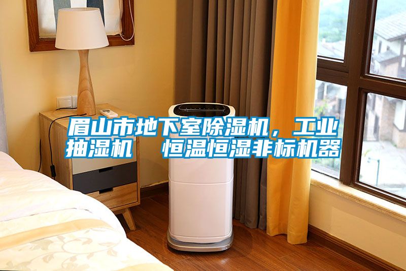 眉山市地下室除濕機(jī),工業(yè)抽濕機(jī) 恒溫恒濕非標(biāo)機(jī)器