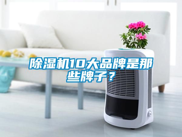 除濕機10大品牌是那些牌子？