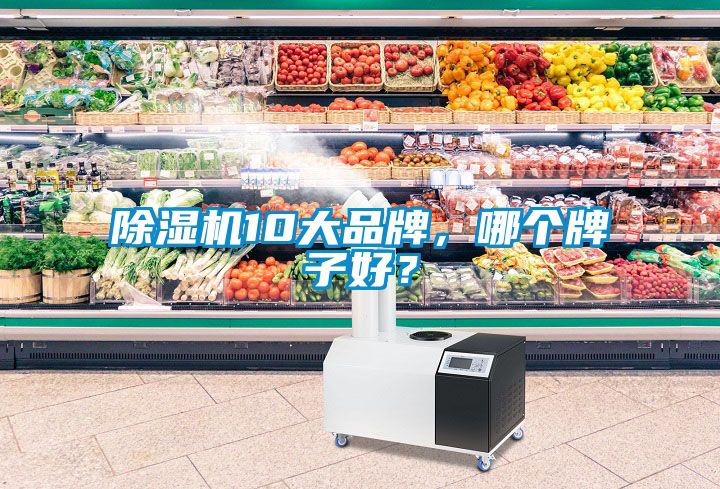 除濕機10大品牌，哪個牌子好？