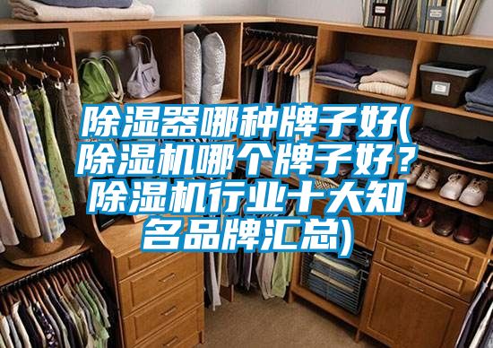 除濕器哪種牌子好(除濕機哪個牌子好?除濕機行業十大知名品牌匯總)