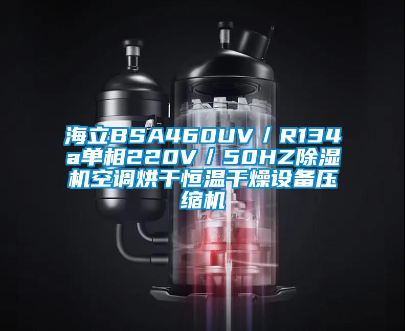 海立BSA460UV/R134a單相220V/50HZ除濕機空調(diào)烘干恒溫干燥設備壓縮機