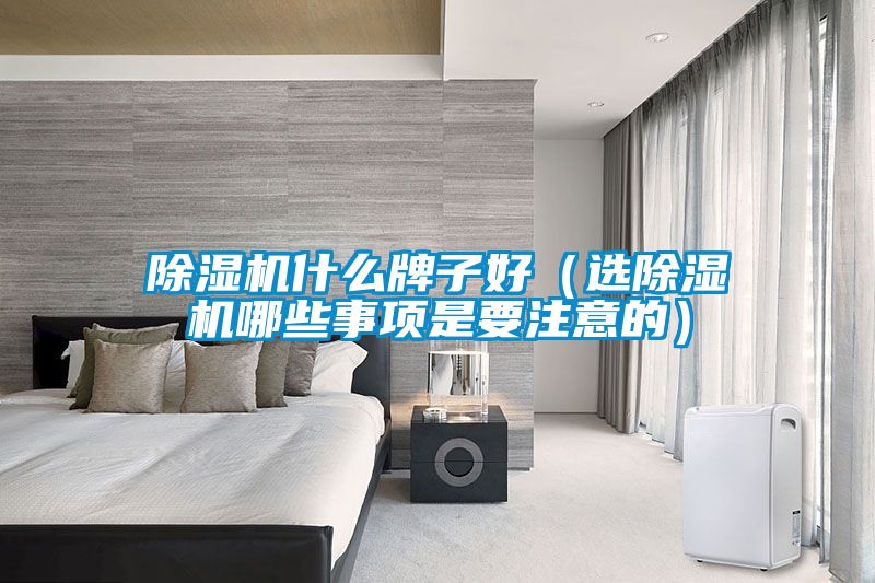 除濕機什么牌子好(選除濕機哪些事項是要注意的)