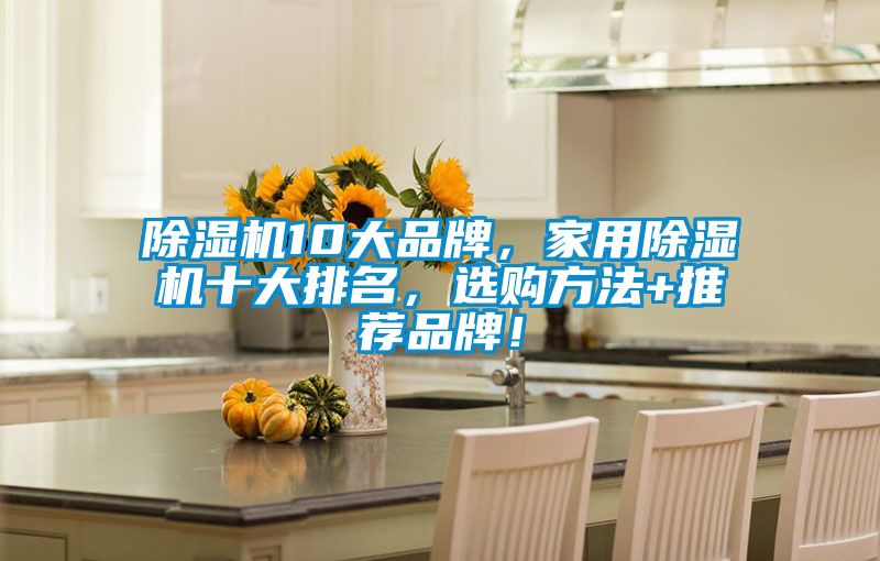 除濕機10大品牌，家用除濕機十大排名，選購方法+推薦品牌！