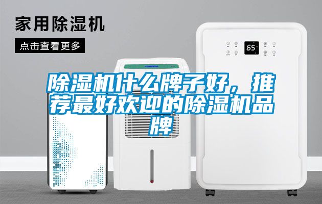 除濕機什么牌子好,推薦最好歡迎的除濕機品牌