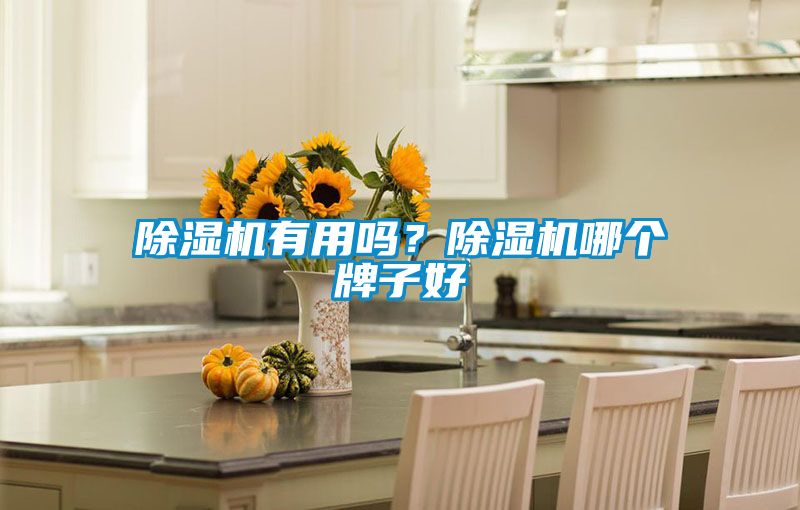 除濕機有用嗎？除濕機哪個牌子好