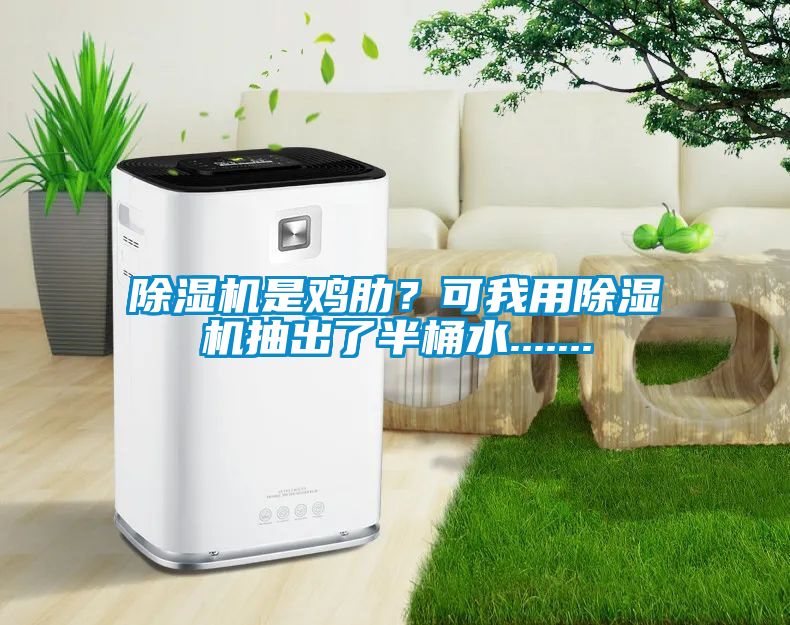 除濕機是雞肋？可我用除濕機抽出了半桶水.......