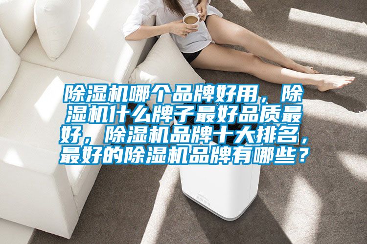 除濕機哪個品牌好用,除濕機什么牌子最好品質最好,除濕機品牌十大排名,最好的除濕機品牌有哪些?